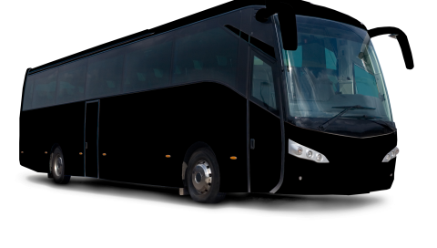 bus-negro
